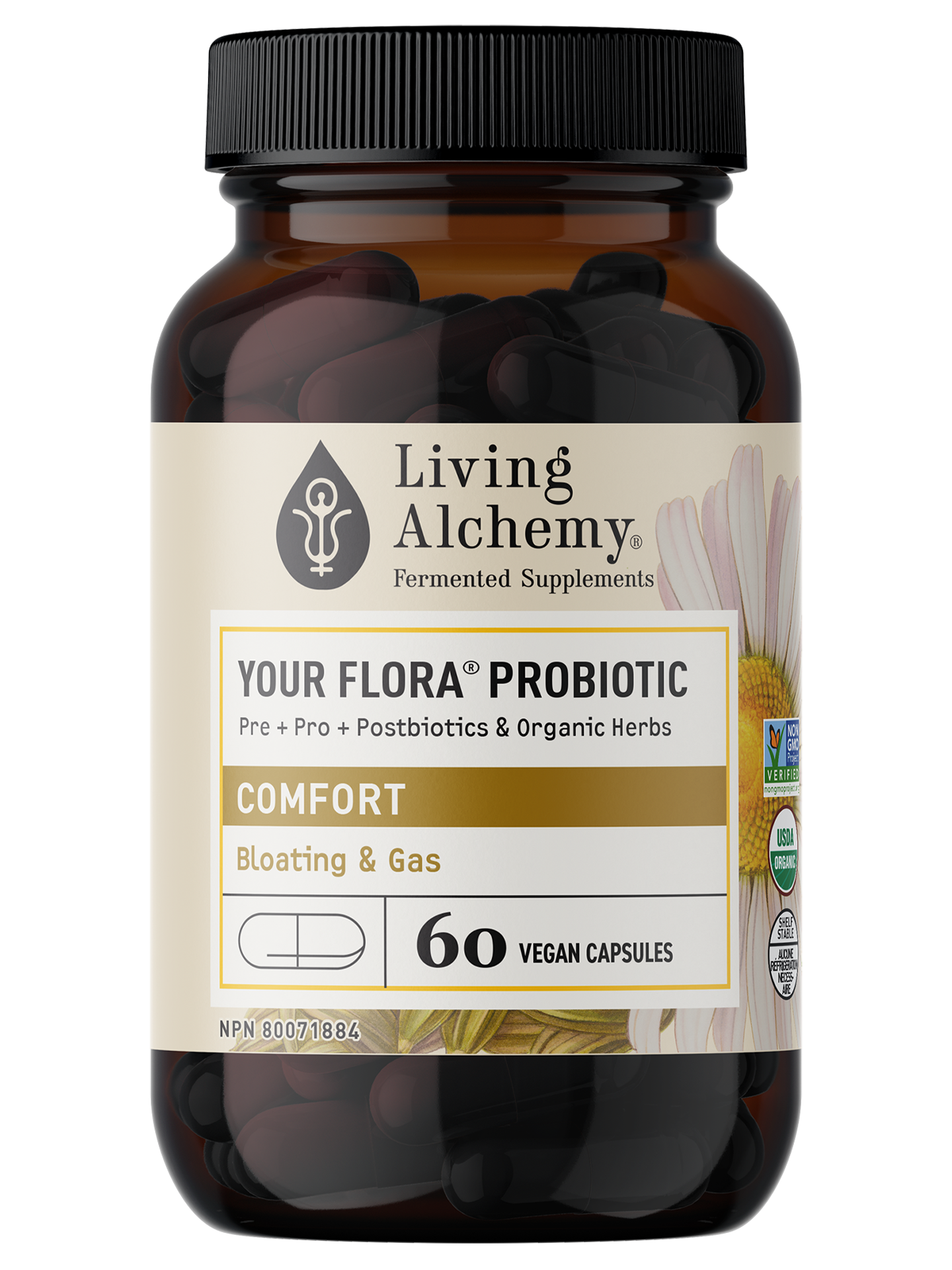 Digestion Starter Bundle