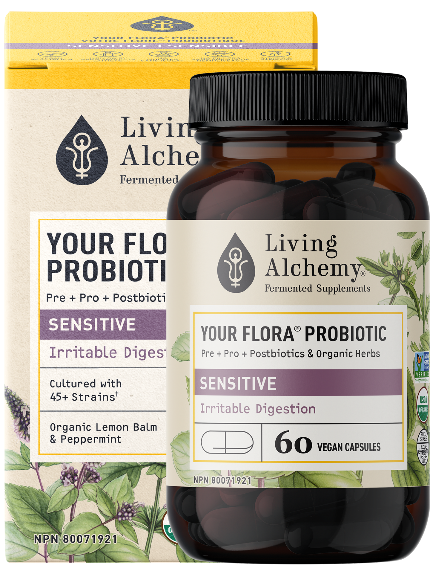 Immune　Floria Sigismondi　フローリア・シジスモンディ Your Flora Probiotic Sensitive | Living Alchemy - Indigestion