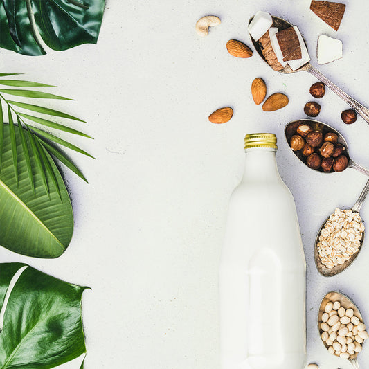 Founder's Note: Why Certified Organic, Non-GMO Fermented Soy?