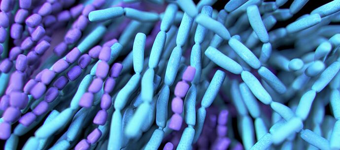 Le problème avec le comptage des bactéries dans les probiotiques