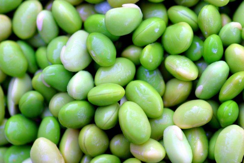 Fermented Organic Soy for Inflammatory Bowel Disease