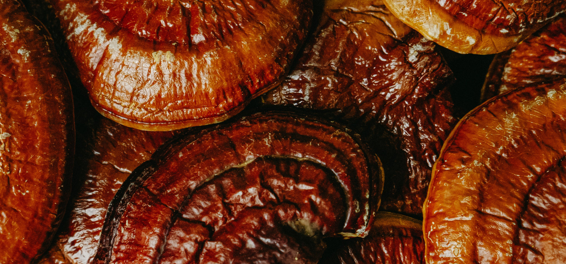 The Ancient Power of Reishi: Nature's Immortality Mushroom