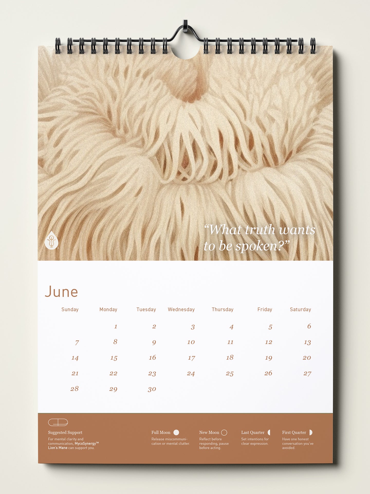 2026 Living Alchemy Calendar