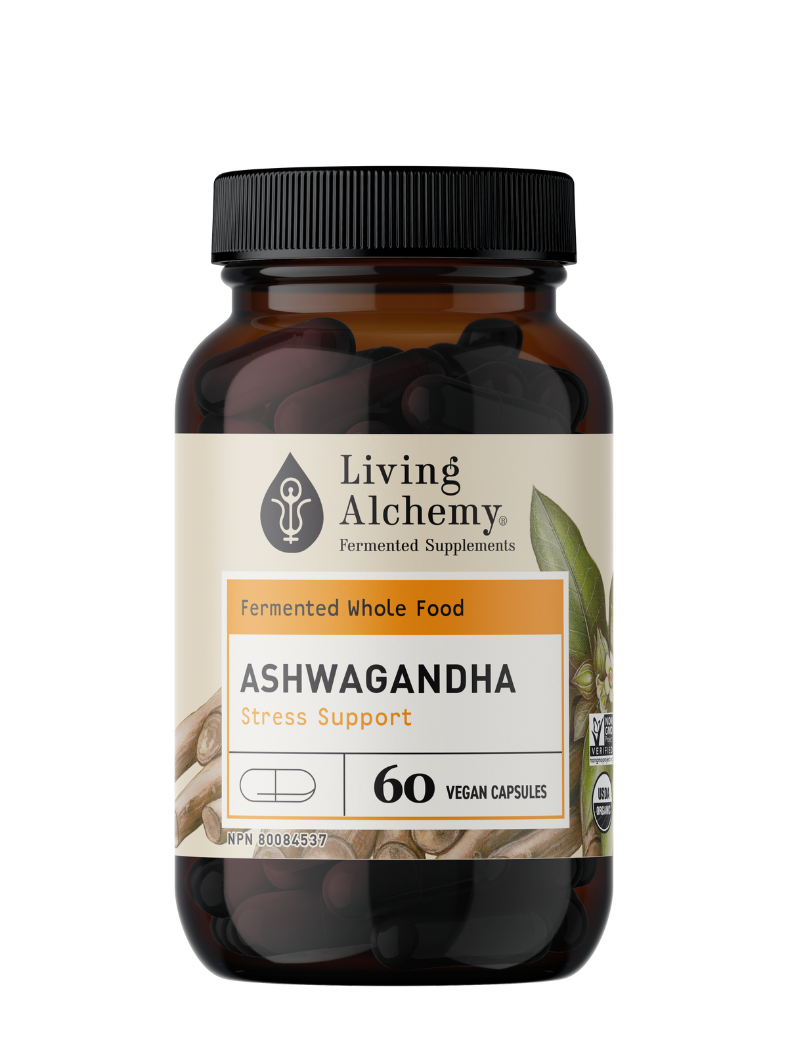 Fermented Ashwagandha -  Living Alchemy