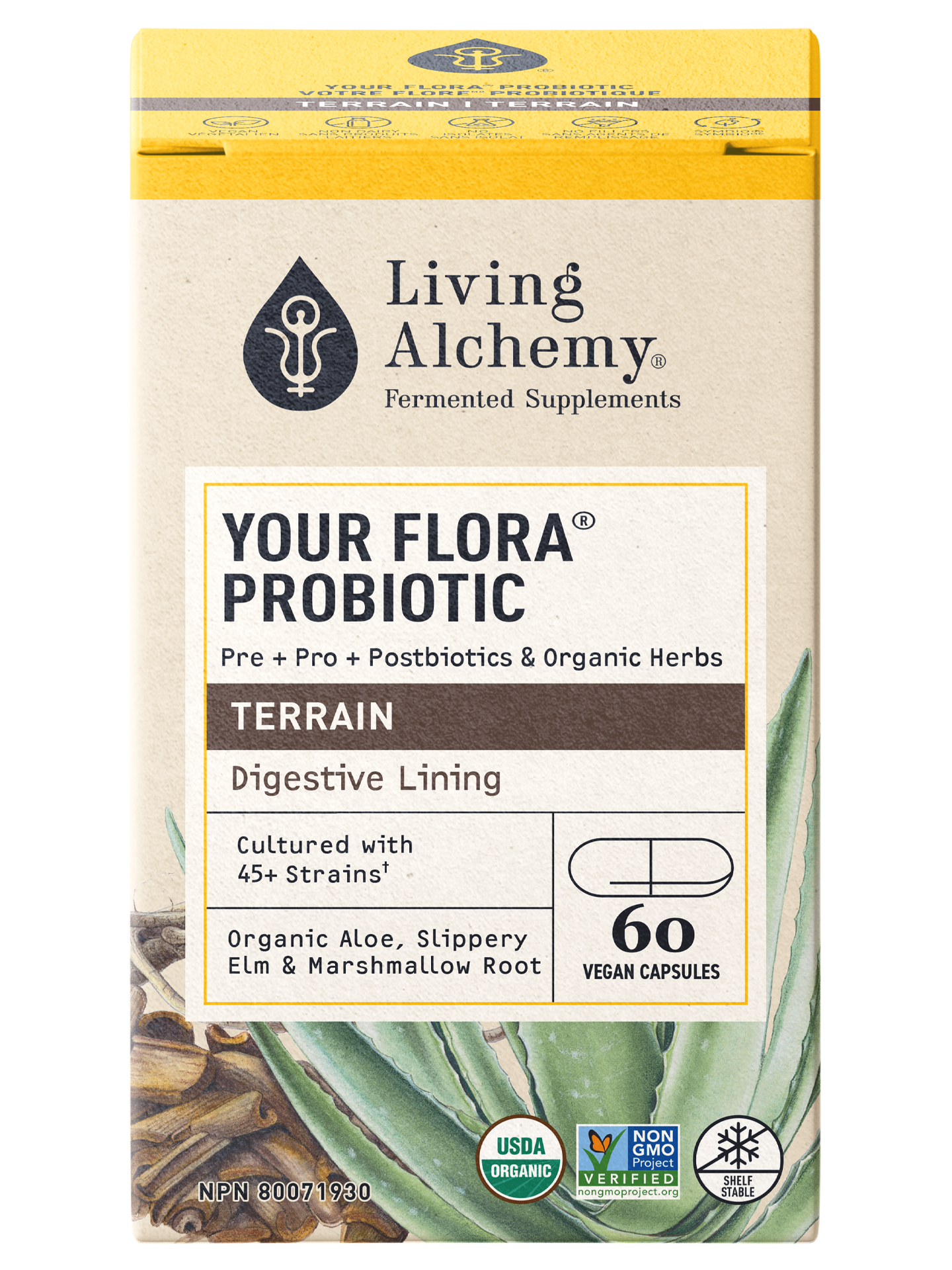 Your Flora® Probiotic Terrain