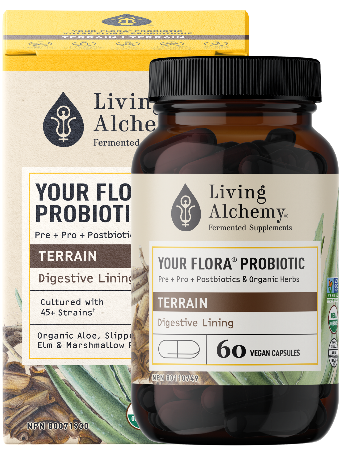 Your Flora® Probiotic Terrain