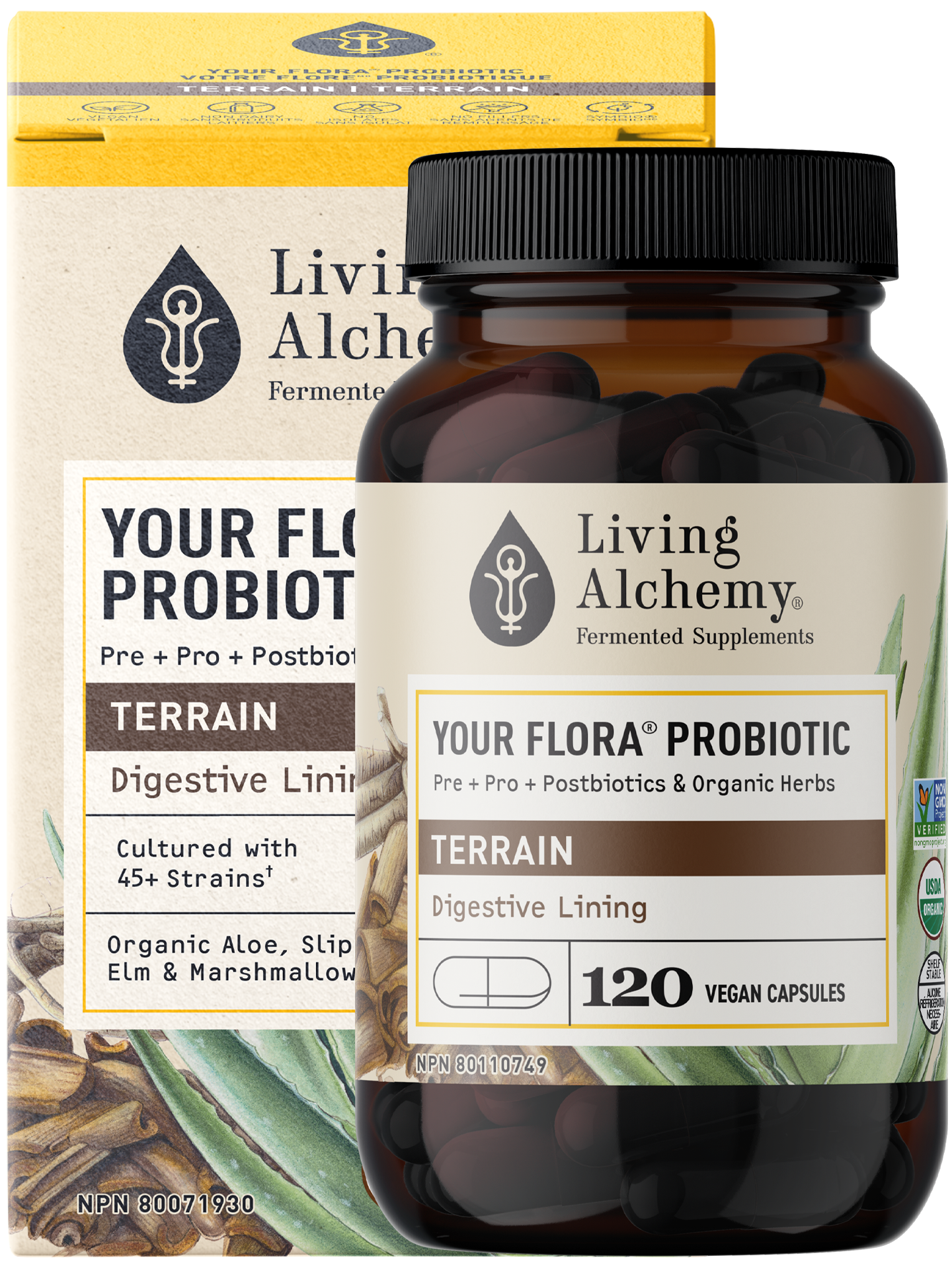 Your Flora® Probiotic Terrain