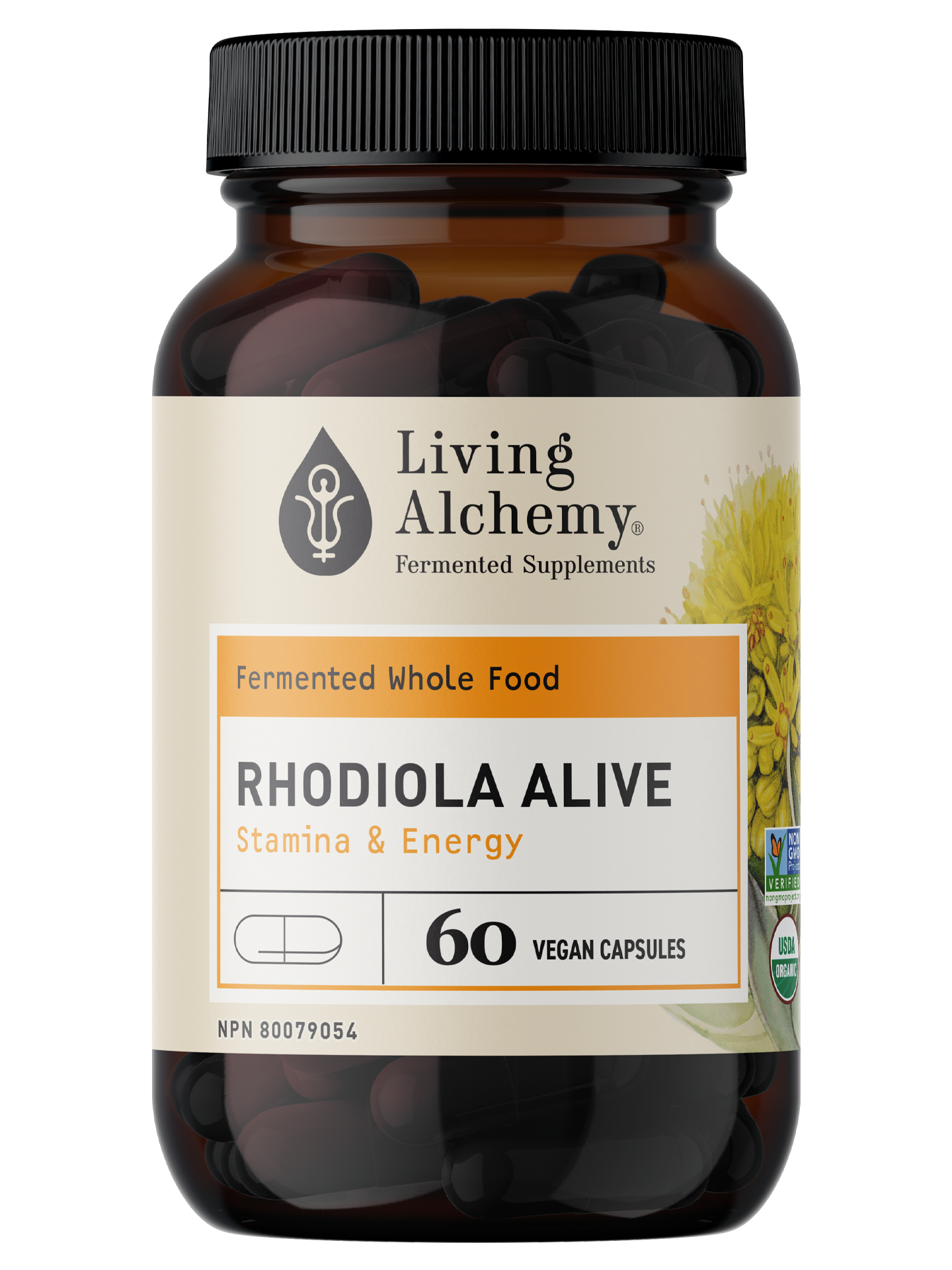 Rhodiola