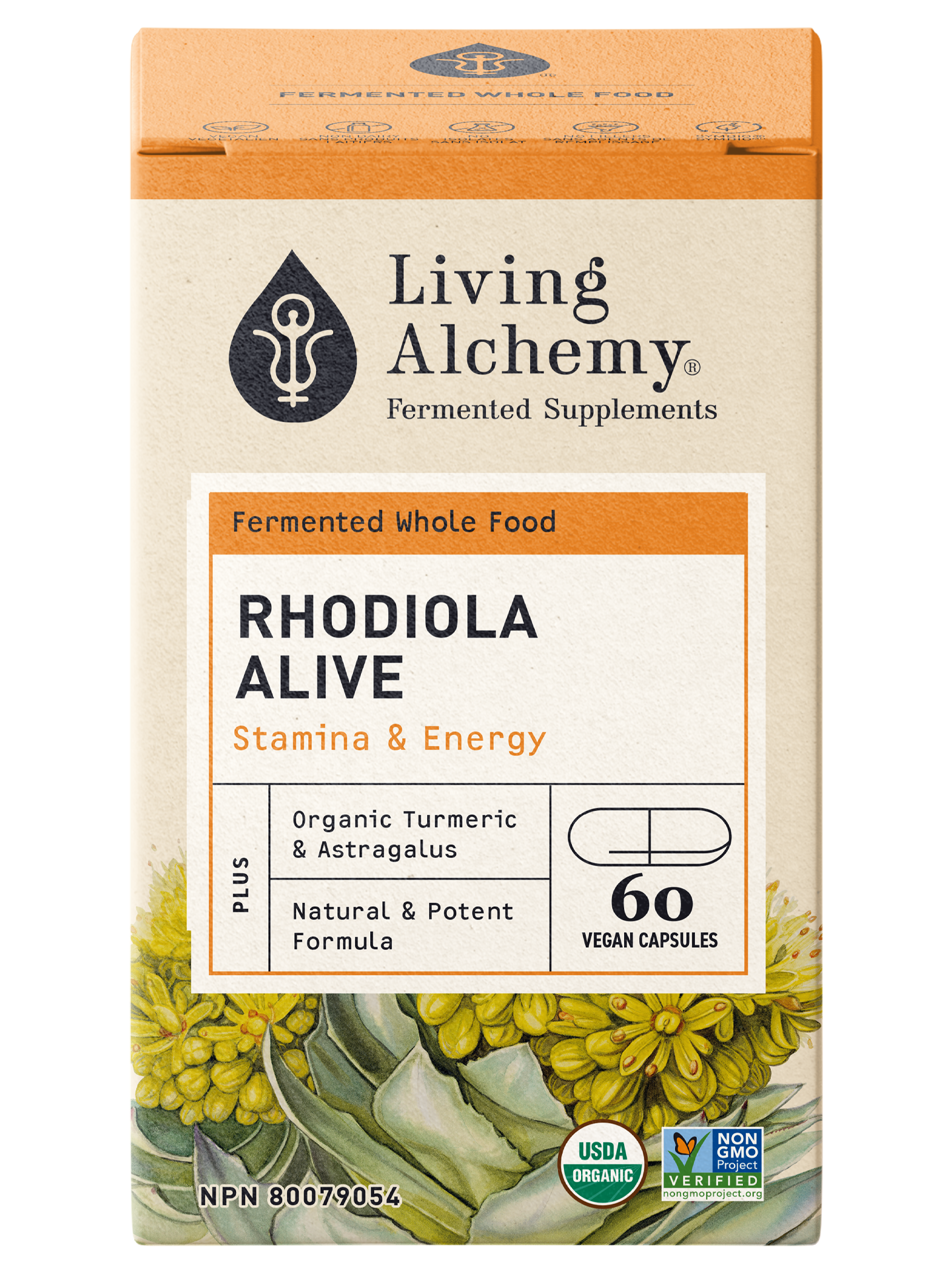 Rhodiola