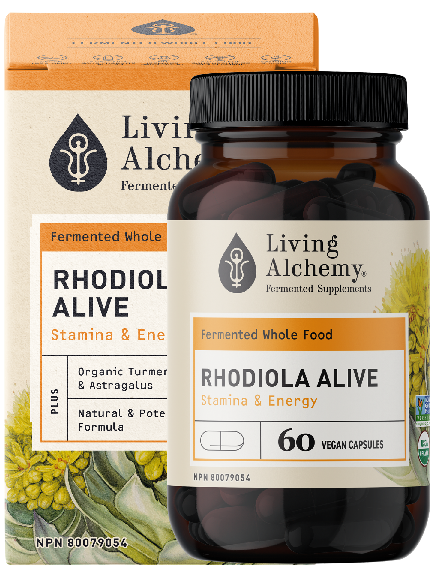 Rhodiola