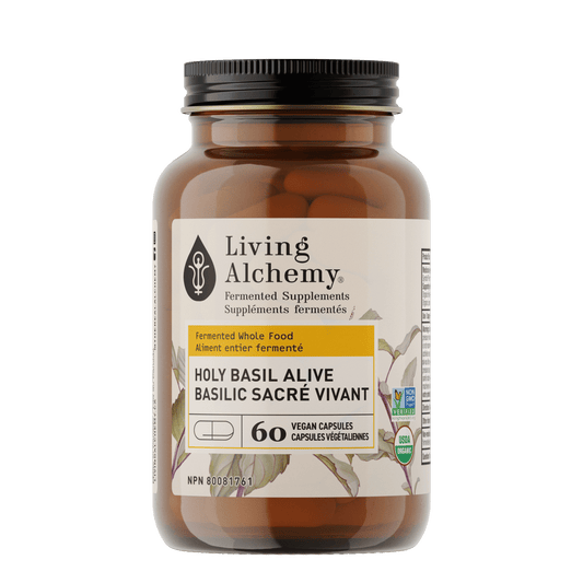 Holy Basil Alive