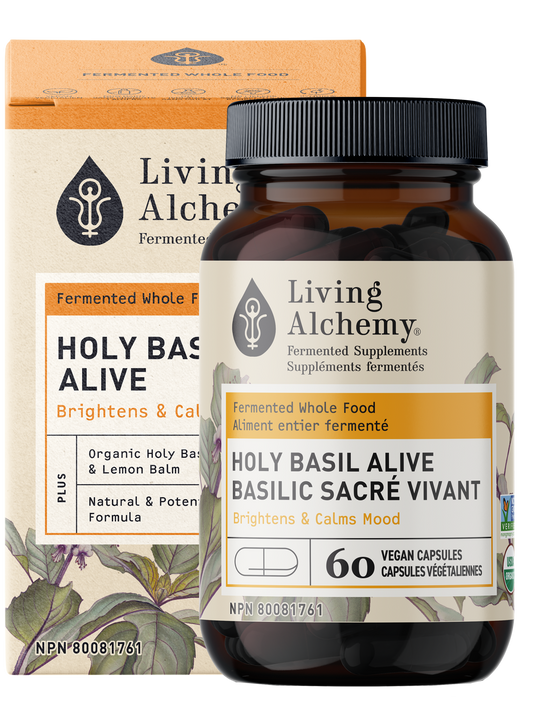 Holy Basil Alive