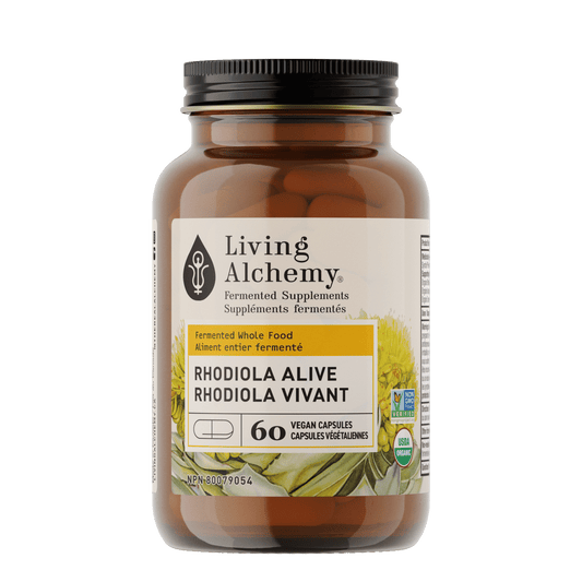 Rhodiola Alive