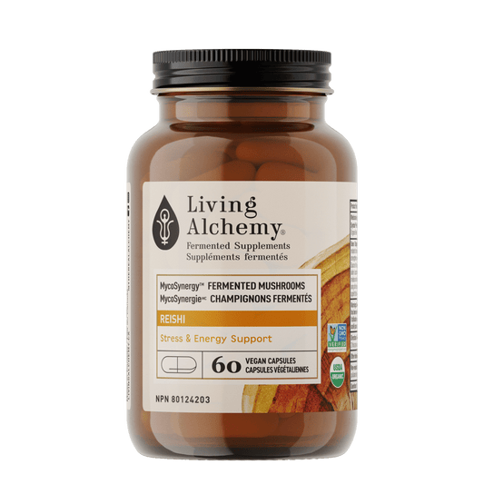 MycoSynergy™ Reishi