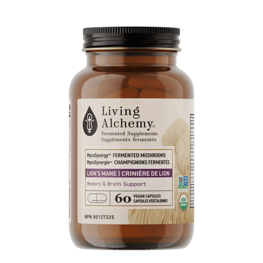 MycoSynergy™ Lion's Mane