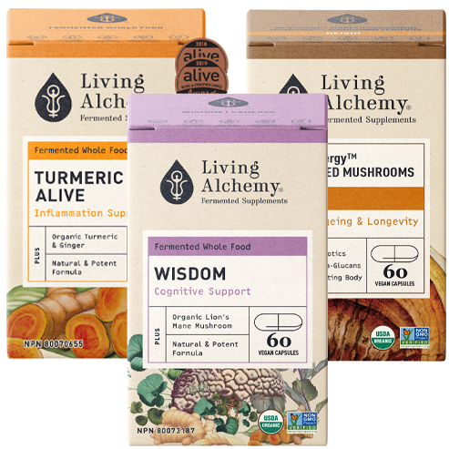 Healthy Ageing Body & Mind Bundle