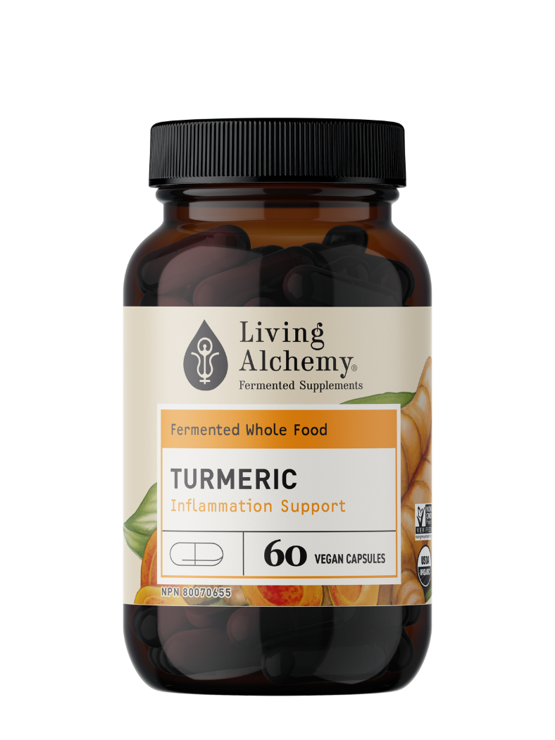 Fermented Turmeric Supplement | Living Alchemy