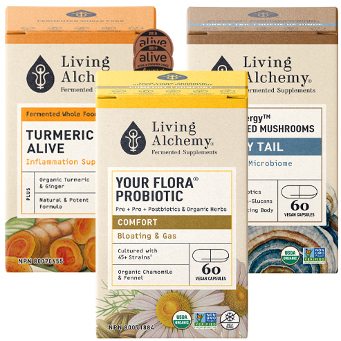Digestion Starter Bundle