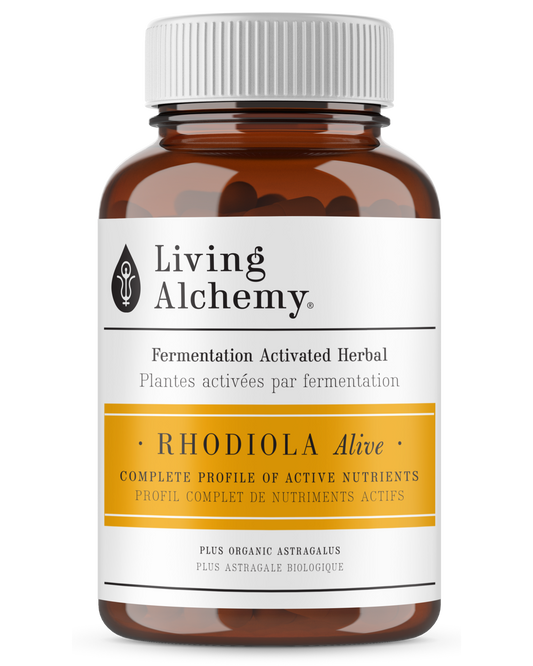 Fermented Rhodiola Living Alchemy